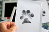 Paw Print Stamp YourCatGoodies