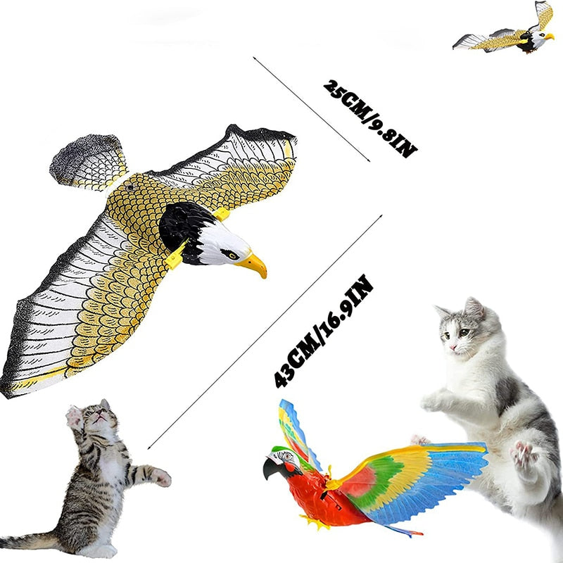 Bungee Cat Toys YourCatGoodies