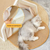 Cat House With Scratching Board