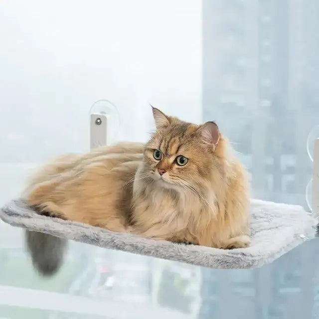 Foldable Cat Window Perch with Suction Cups YourCatGoodies