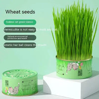 Cat Grass Cup YourCatGoodies