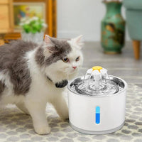 USB Powered Cat Water Fountain WigglyTailNeeds