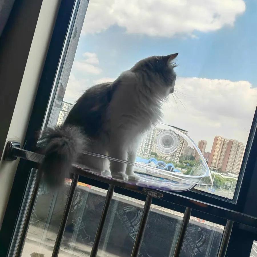 Cat Window Hanging Perch Bed YourCatGoodies
