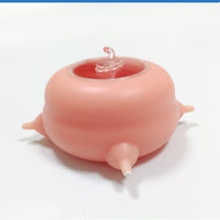 Pet Nursing Milk Bowl WigglyTailNeeds