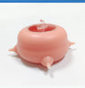 Pet Nursing Milk Bowl WigglyTailNeeds