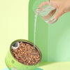 Cat Grass Cup YourCatGoodies