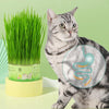 Cat Grass Cup YourCatGoodies