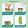 Cat Grass Cup YourCatGoodies