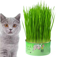 Cat Grass Cup YourCatGoodies