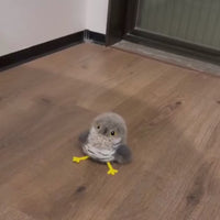 Flapping Bird Cat Toy