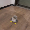 Load and play video in Gallery viewer, Flapping Bird Cat Toy