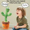 DANCING & REPEATING CACTUS YourCatGoodies
