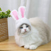 Bunny Ears YourCatGoodies