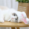 Bunny Ears YourCatGoodies