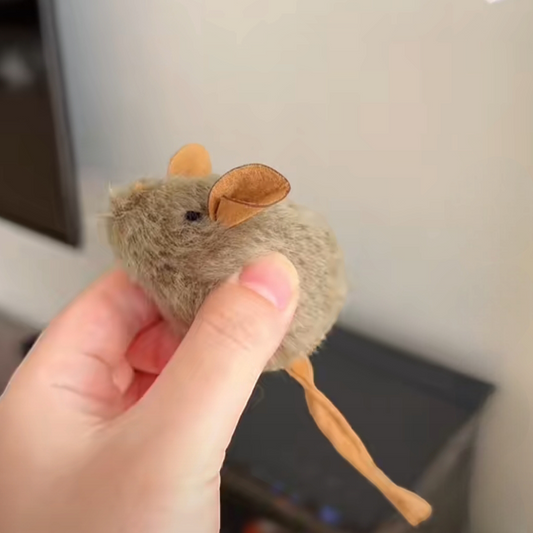 Cat Mouse Toy
