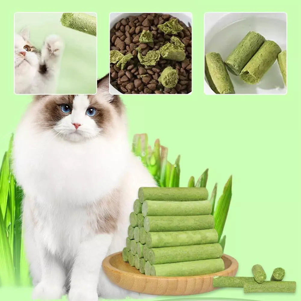 Dry Grass Sticks YourCatGoodies