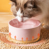 Self-Heating Thermal Pet Water Bowl YourCatGoodies