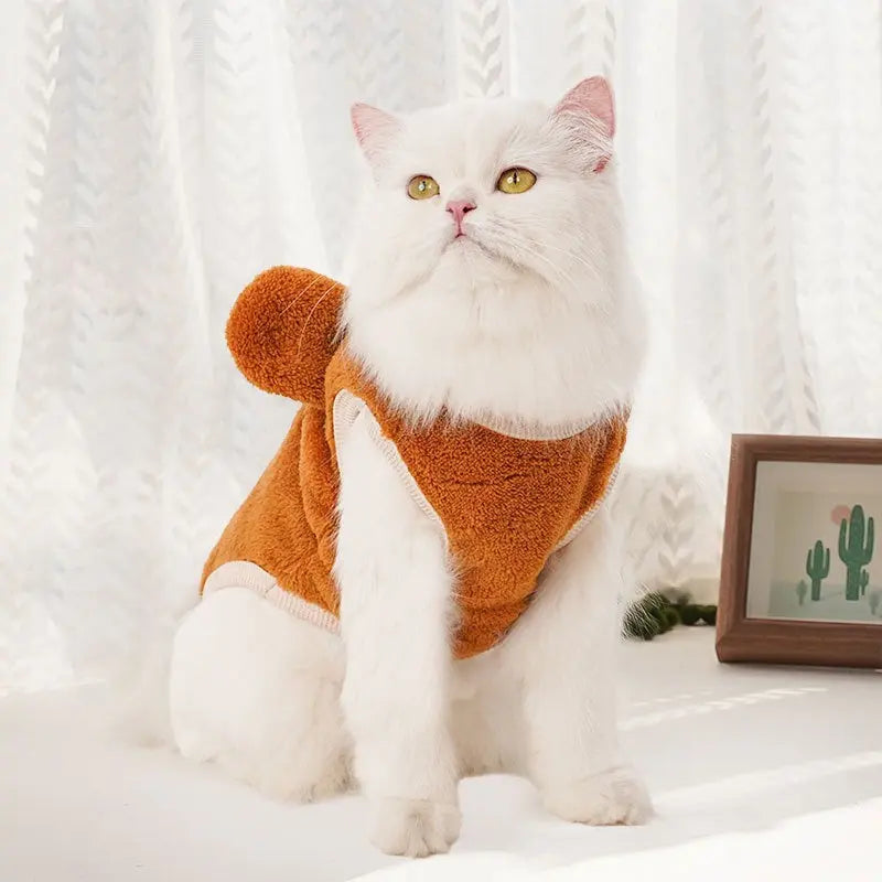 Clothes For Cats YourCatGoodies