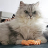 6PCS Cat Little funny Fake Human Hand YourCatGoodies