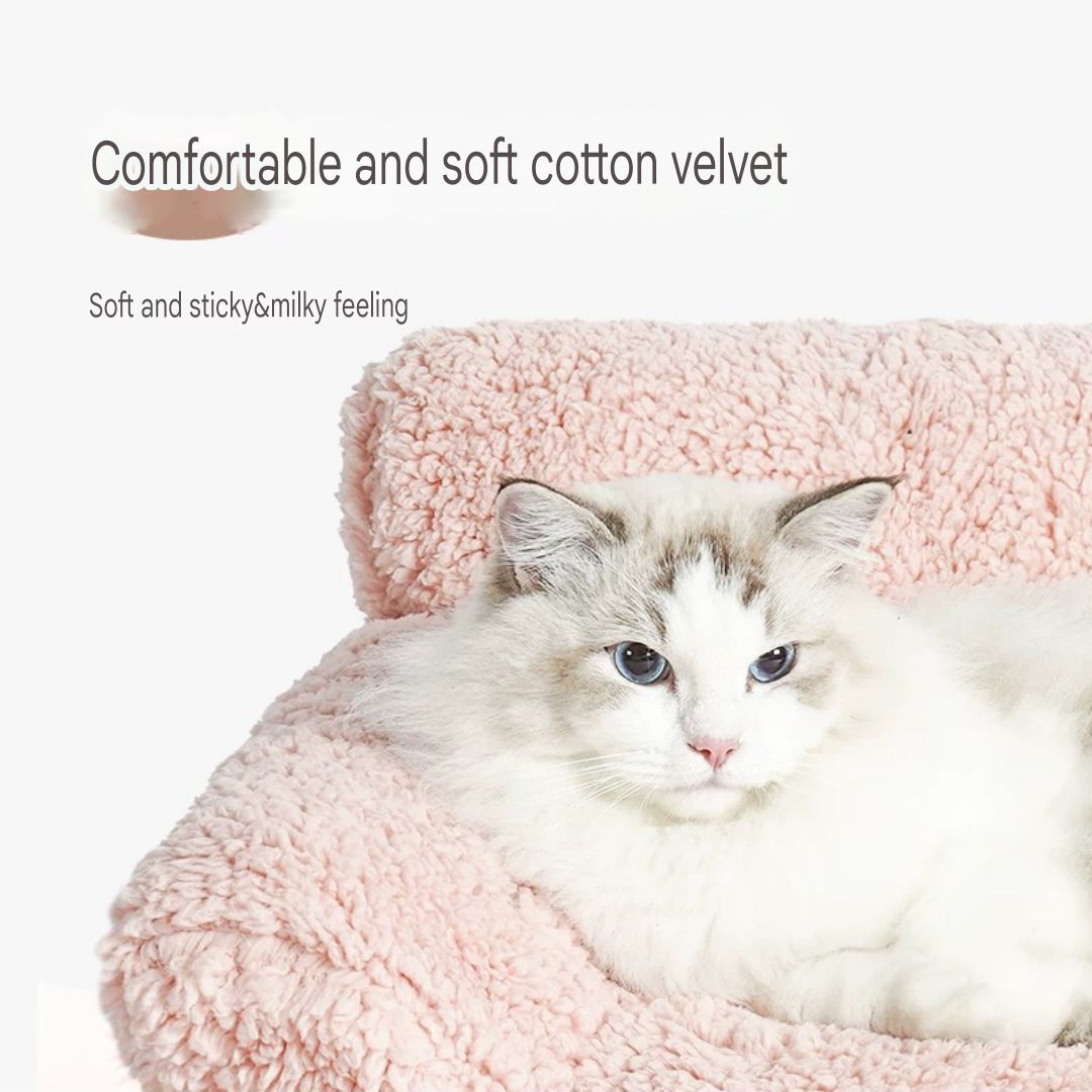 Stylish and Cozy Sofa Bed YourCatGoodies