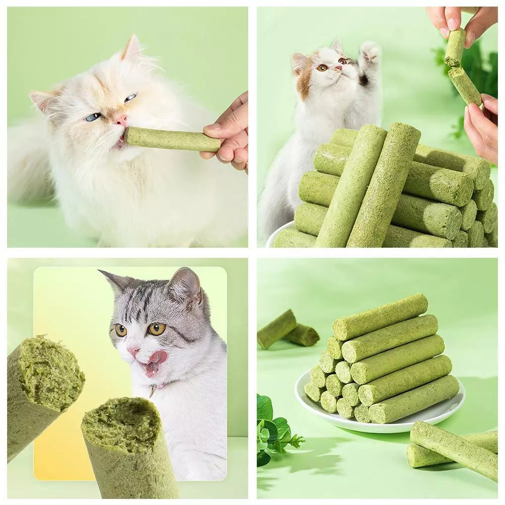 Dry Grass Sticks YourCatGoodies