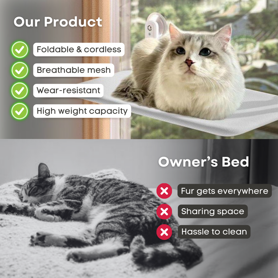 Foldable Cat Window Perch with Suction Cups YourCatGoodies