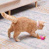 Cat Toys Feather Collar Self-healing YourCatGoodies
