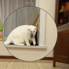 Cat Mouse Toy
