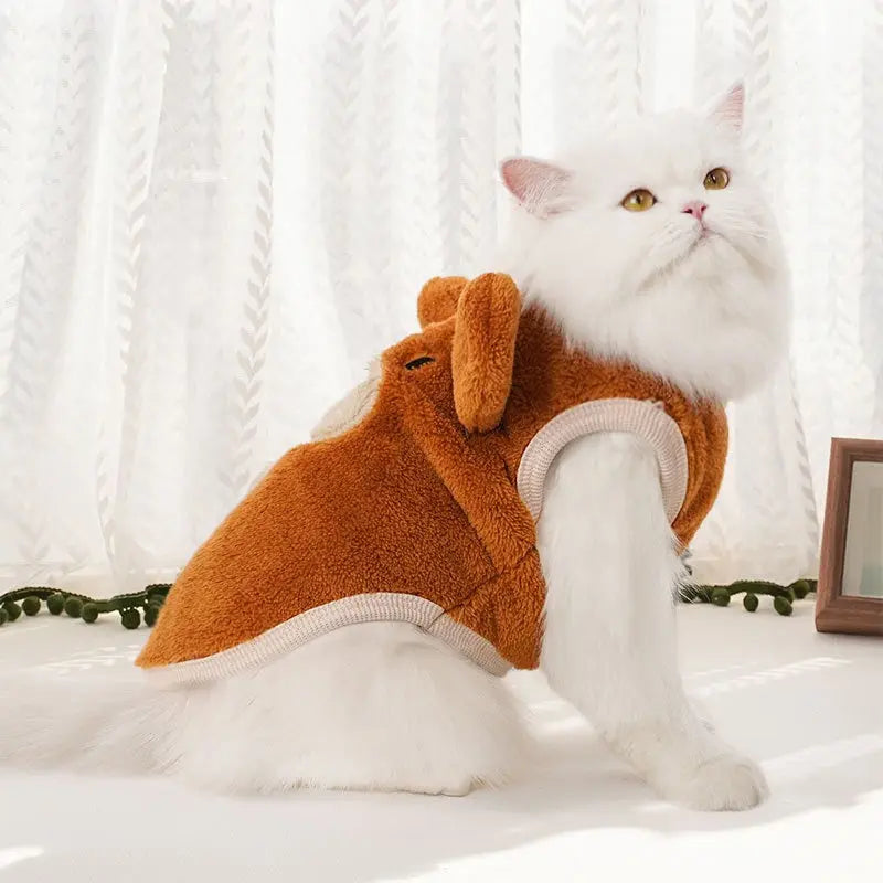 Clothes For Cats YourCatGoodies