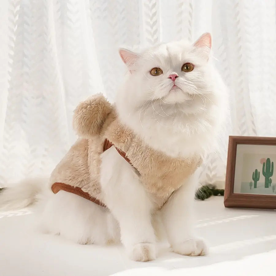 Clothes For Cats YourCatGoodies