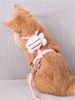 Bee Shape Cat Harness Traction Rope YourCatGoodies