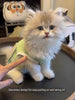 Avocado Summer Cool Vest YourCatGoodies