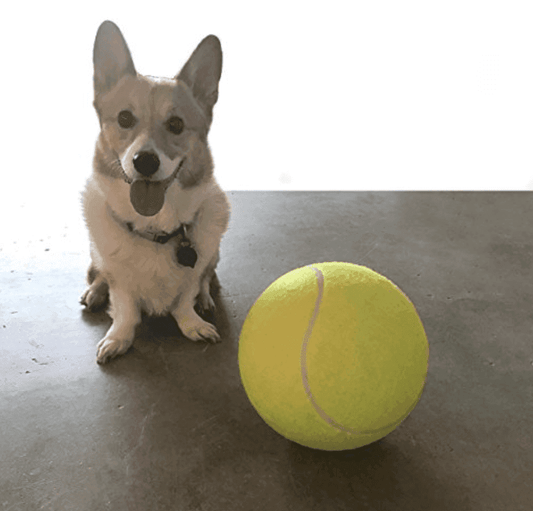 Giant Tennis Ball Toy for Pets 9.5" (24cm)