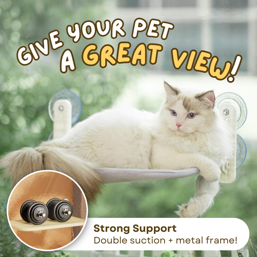 Foldable Cat Window Perch with Suction Cups YourCatGoodies