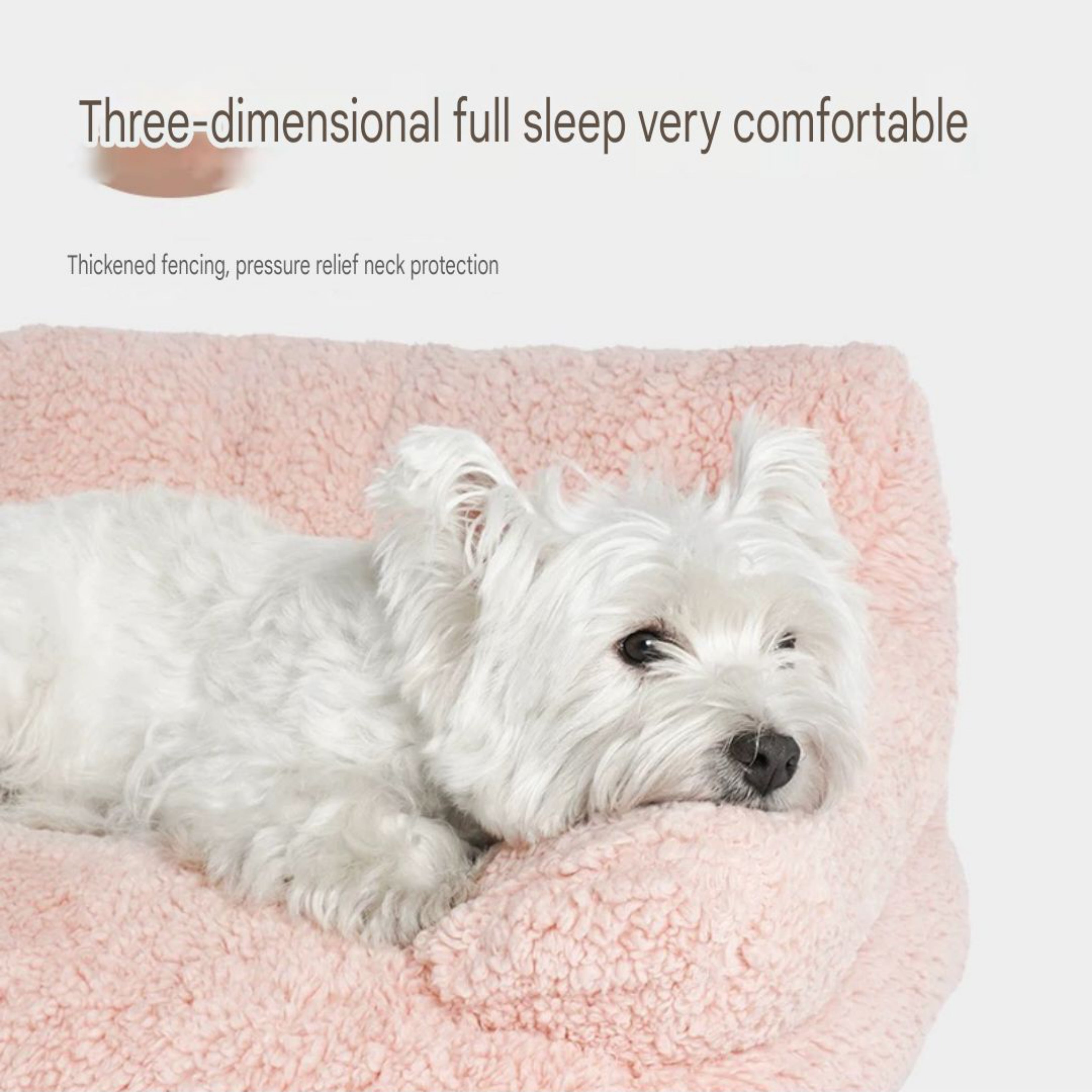 Stylish and Cozy Sofa Bed YourCatGoodies