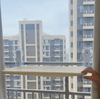 Foldable Cat Window Perch with Suction Cups YourCatGoodies