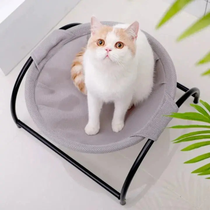 Floor Cat Hammock-With Stand YourCatGoodies