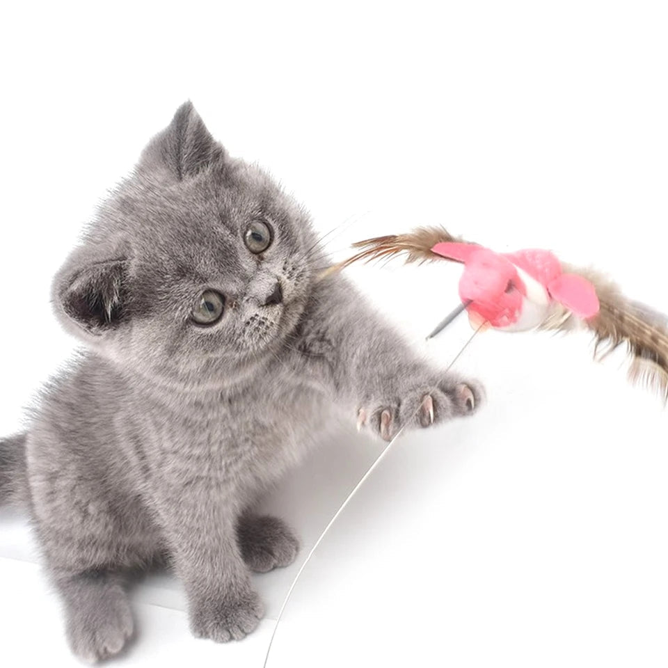 Automatic Electric Rotating Cat Toy YourCatGoodies
