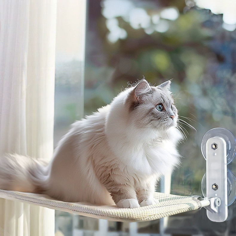 Foldable Cat Window Perch with Suction Cups YourCatGoodies