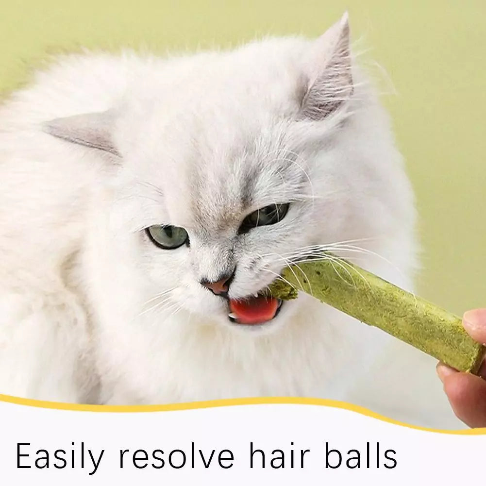 Dry Grass Sticks YourCatGoodies