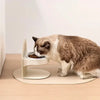 Adjustable ceramic bowl for cat YourCatGoodies