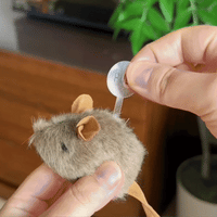 Cat Mouse Toy