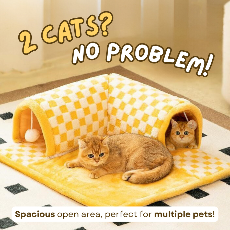 Cat Tunnel Bed Zendrop
