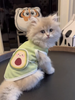 Avocado Summer Cool Vest YourCatGoodies