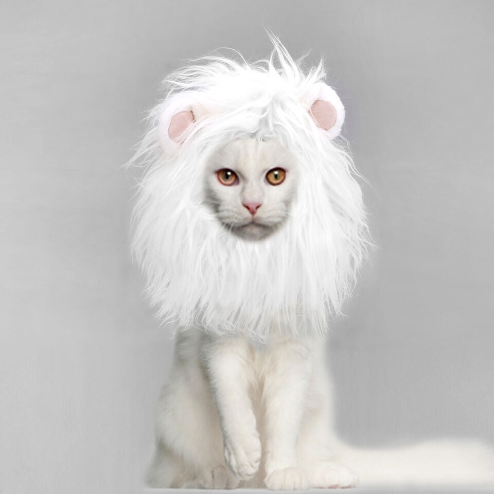 Cute Lion Cat Wig Costume WigglyTailNeeds