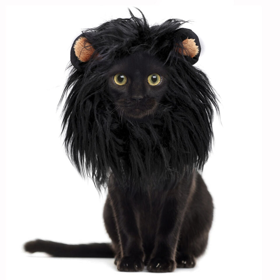 Cute Lion Cat Wig Costume WigglyTailNeeds