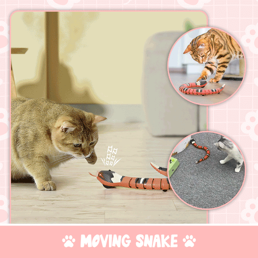 Cat playing with moving snake toy on floor, interactive pet toy for cats