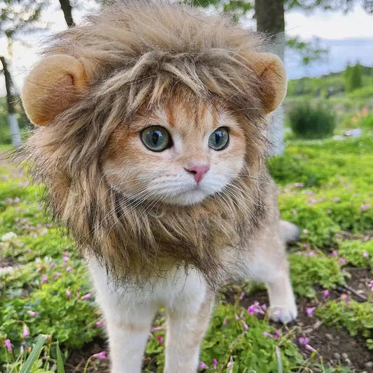 Cute lion cat wig costume by WigglyTailNeeds, featuring fluffy mane and ears for playful pet dress-up.