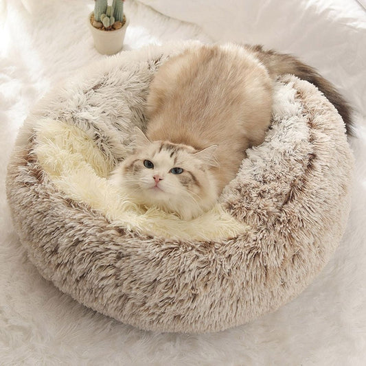 Fluffy cat lying in a round plush pet bed on a soft white surface, with small plant in background
