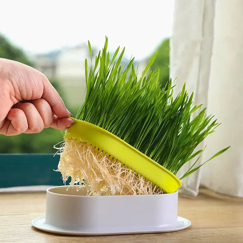 Fresh Sprout Seedling Tray Set YourCatGoodies